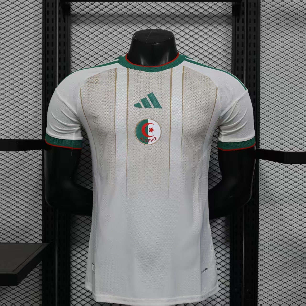 Algeria World Cup 2026